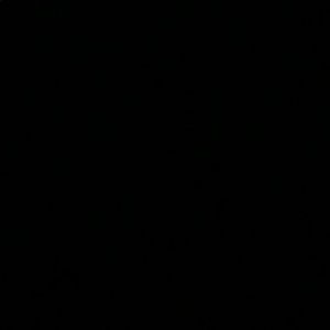 Meet your Posher, Elle